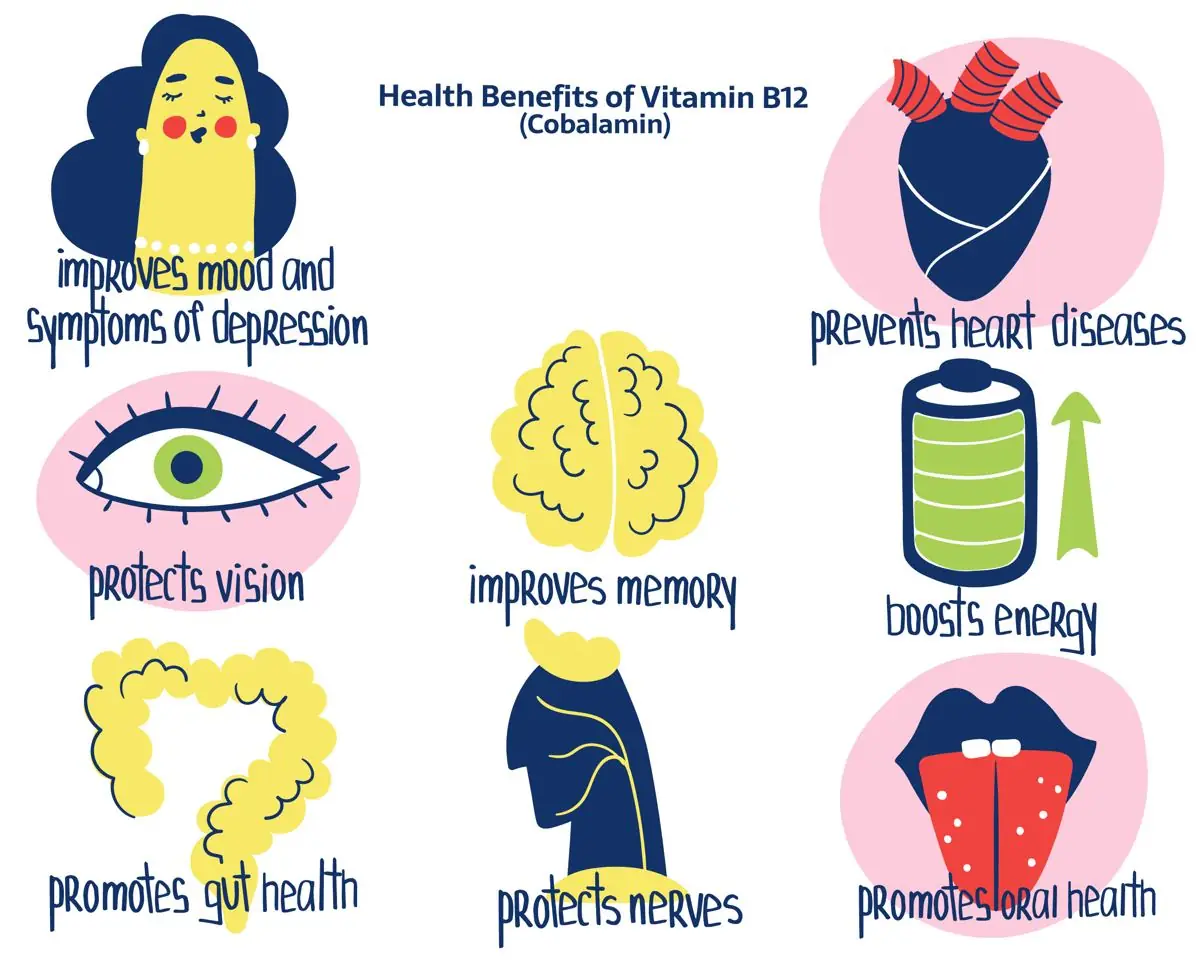 Feature image for the article: Could it be B12?