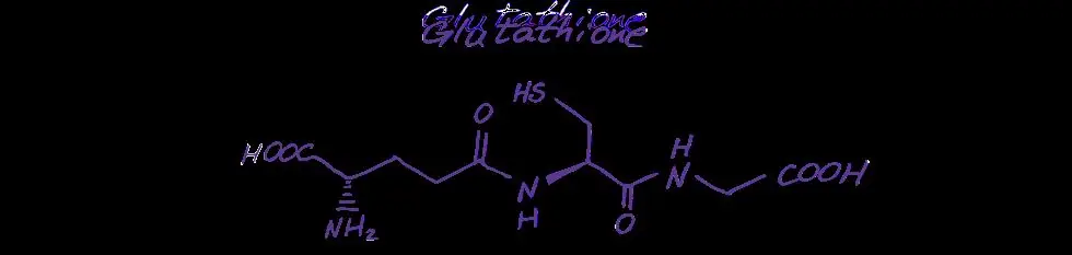 Feature image for the article: Glutathione