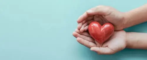 Feature image for the article: Heart Health and the Gut: The Role of Functional Medicine