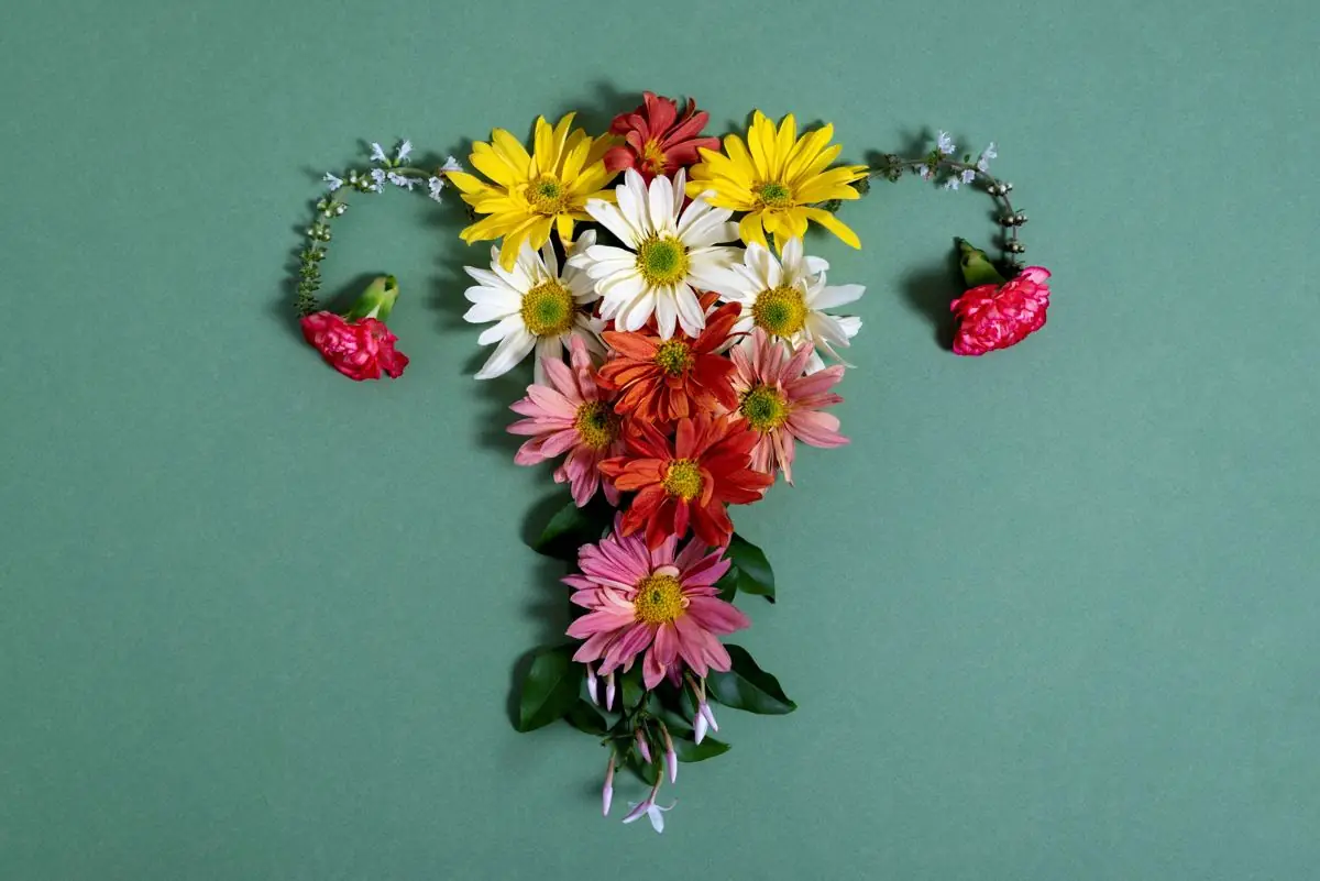 Feature image for the article: PCOS Has Been Renamed