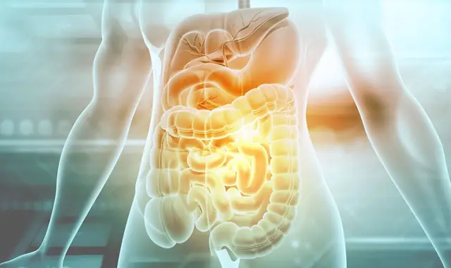 Feature image for the article: Can Your Gut Influence Parkinson’s Disease?