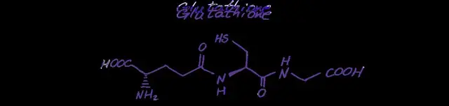 Feature image for the article: Glutathione