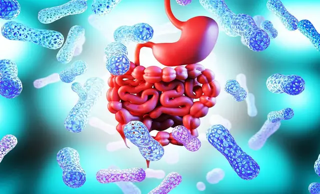 Feature image for the article: Gut Health and Hypertension