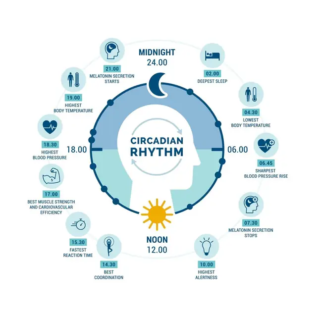 Feature image for the article: How Qigong Can Help Reset Your Body's Natural Rhythms and Improve Health