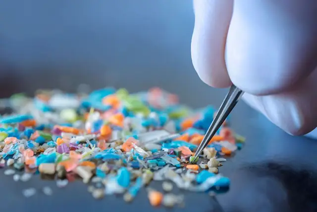 Feature image for the article: I Tested My Blood for Microplastics