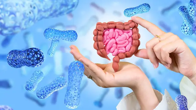 Feature image for the article: Protecting Your Health Before the Prescription Pad Comes Out