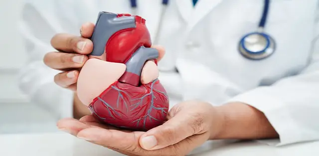 Feature image for the article: Carotid artery scan, cholesterol test or calcium score: which tells you most?