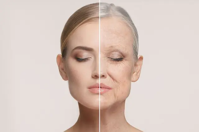 Feature image for the article: Understanding Biological vs. Chronological Ageing