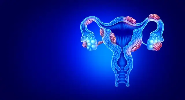 Feature image for the article: Understanding Estrogen, Endometriosis, Melatonin, and the Estrobolome
