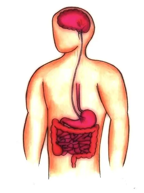 Feature image for the article: Vagus Nerve Stimulation: The possible path to eliminate chronic pain and inflammation