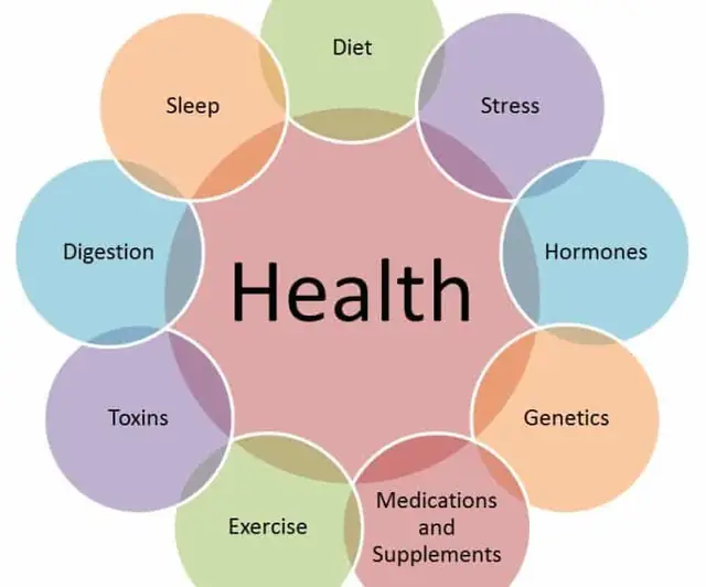 Feature image for the article: What is functional medicine?