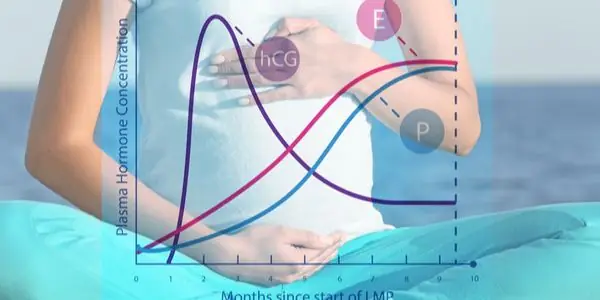 Feature image for the article: Why I Always Look at the Gut in Women’s Hormone Health