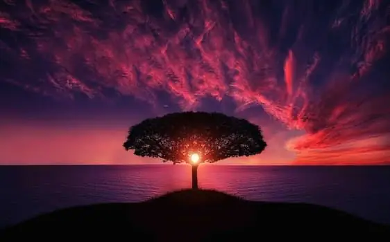 Feature image for the article: How to Choose the Right Functional Medicine Practitioner