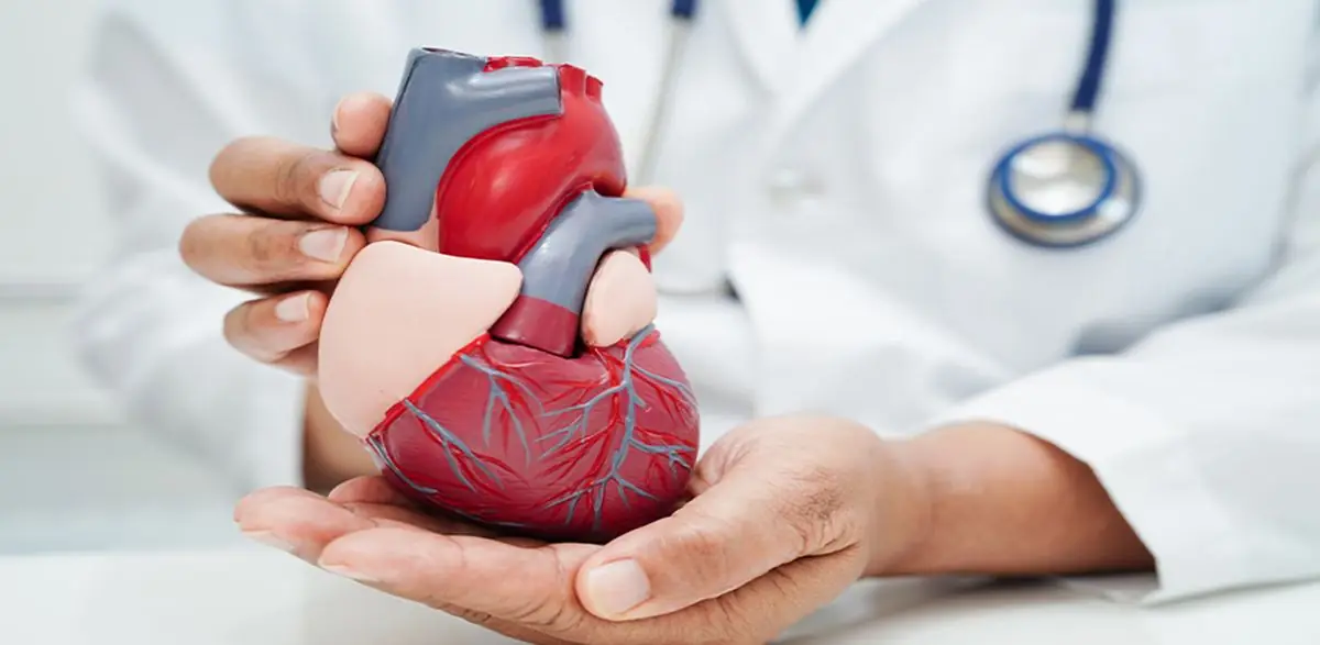 Feature image for the article: The Silent Killer: Half of Sudden Cardiac Deaths Occur Without Warning