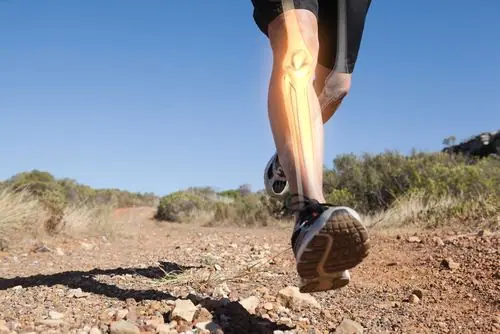 Feature image for the article: Nurturing Strong Bones: The Gut-Bone Connection and the Power of a Balanced Diet