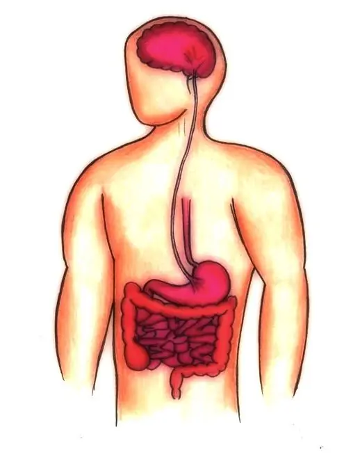 Feature image for the article: Vagus Nerve Stimulation: The possible path to eliminate chronic pain and inflammation