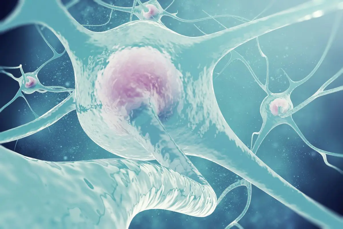 Feature image for the article: Why Does Nervous System Regulation Matter in Functional Medicine?