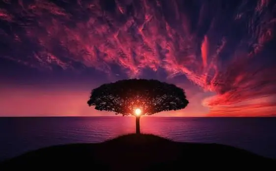 Feature image for the article: How to Choose the Right Functional Medicine Practitioner