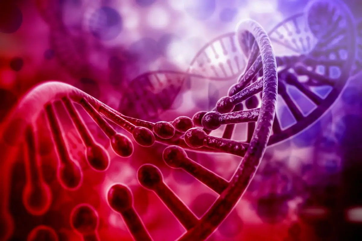 Feature image for the article: Why personalising medicine matters